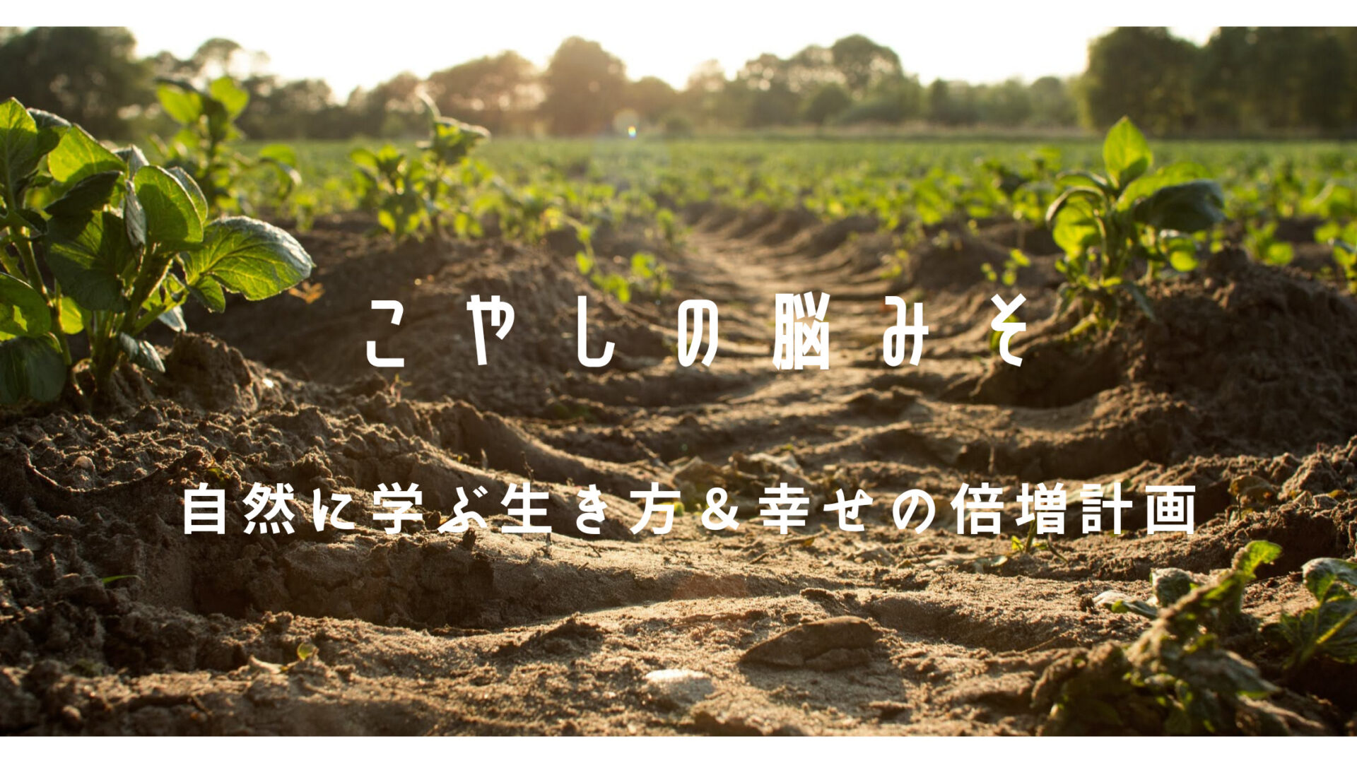 2. 30 点を獲得する